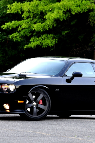 challenger, челенжер, dodge, додж, srt8, передок, muscle car, мускул кар