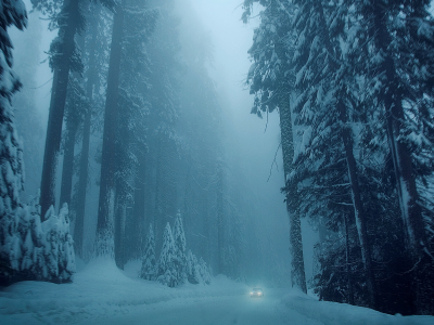зима, деревья, дерево, природа, елки, снег, дорога