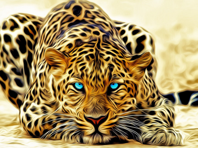 Леопард, глаза