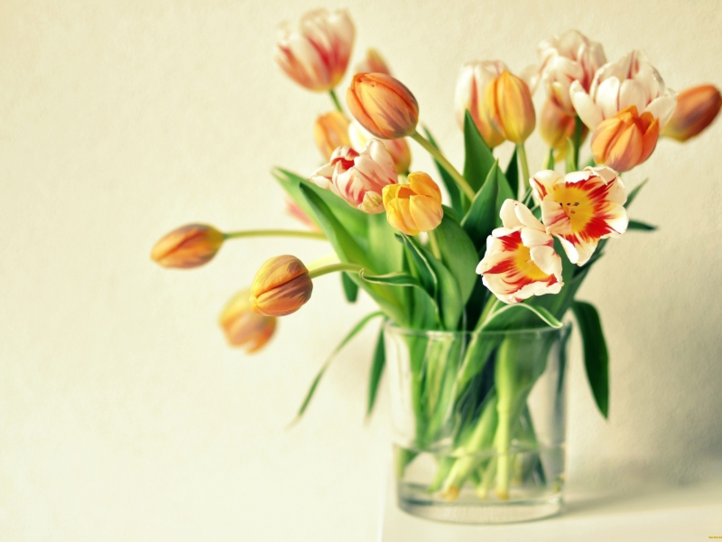тюльпаны, ваза, цветы, оранжевые