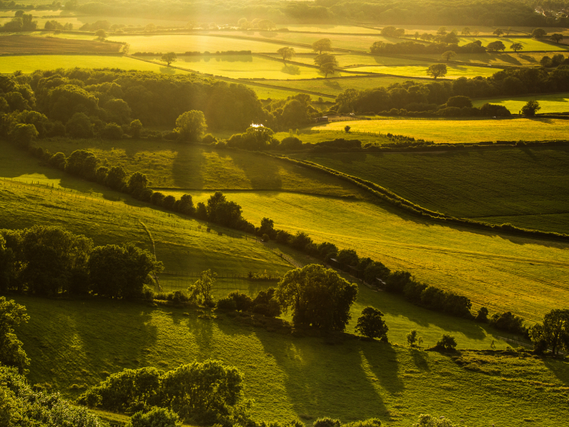 great britain, природа, великобритания, hassocks, england, англия