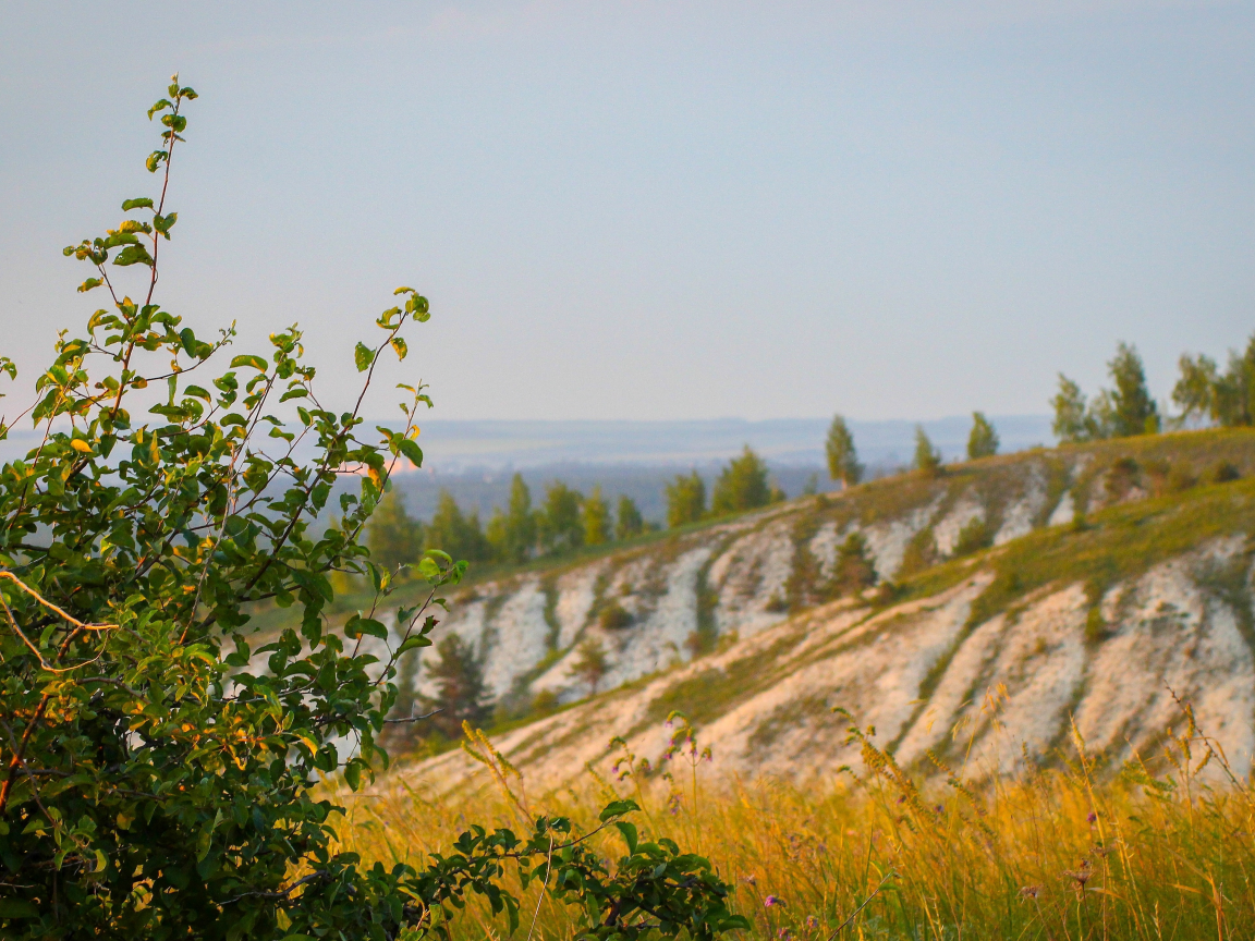 природа, за городом