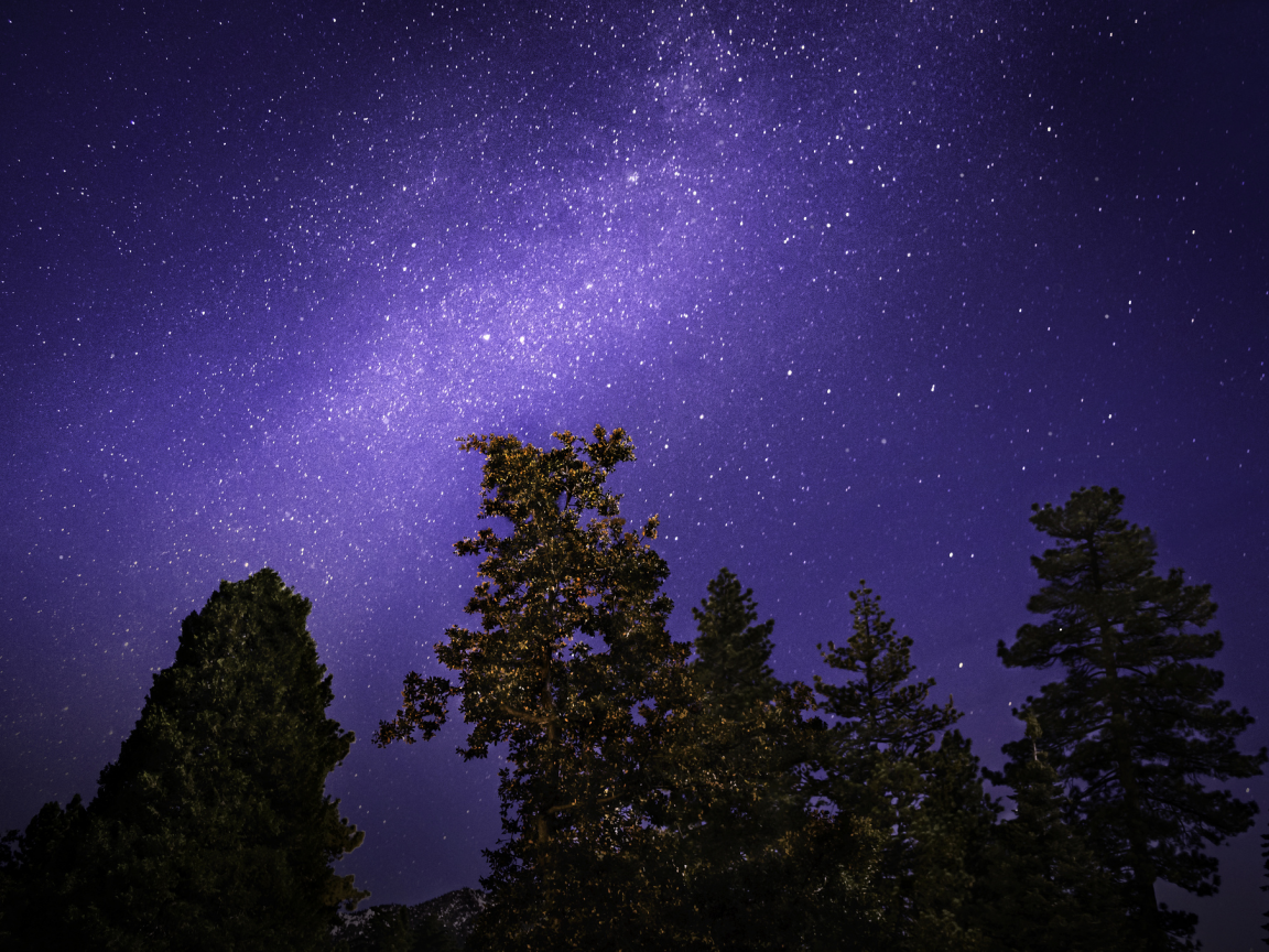 млечный путь, звезды, небо, ночь, деревья