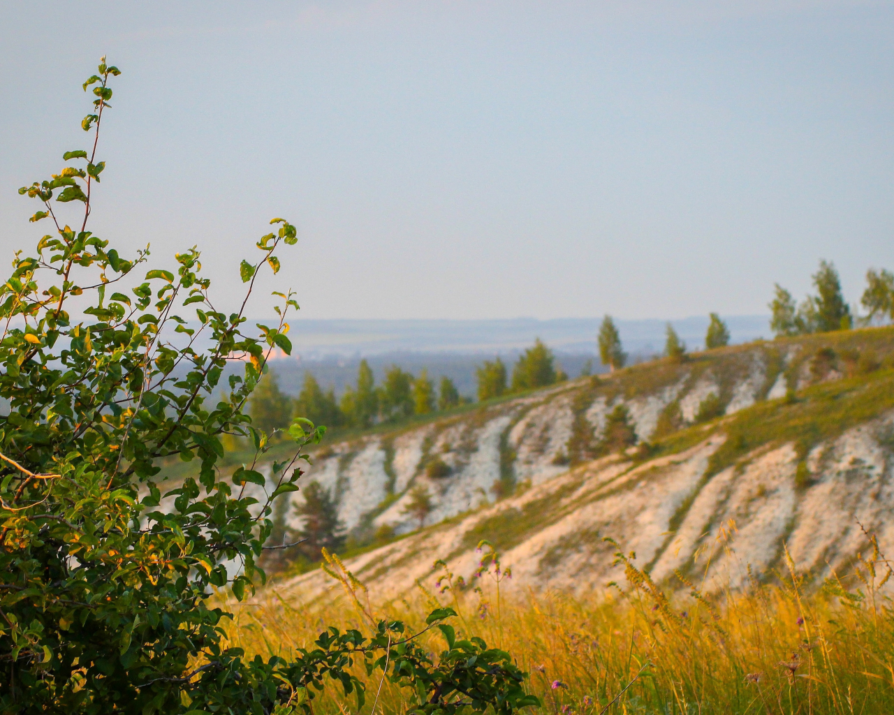 природа, за городом