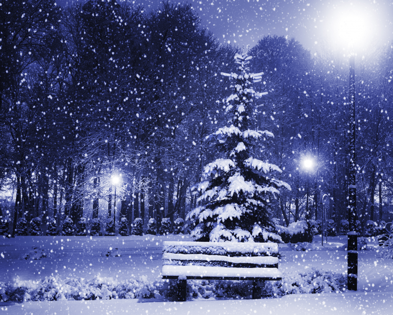 town, snow, trees, new year, winter, nature, christmas tree, magic christmas night, merry christmas