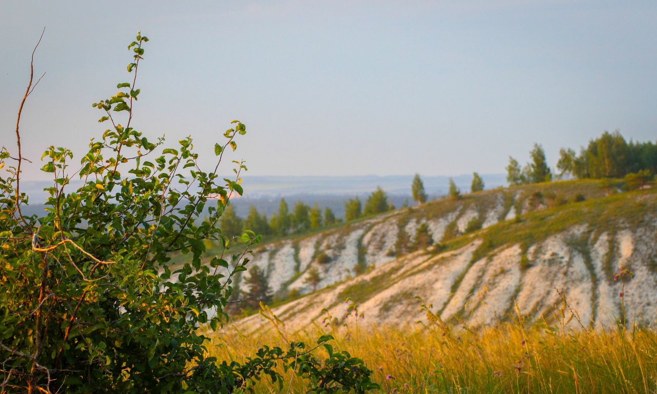 природа, за городом