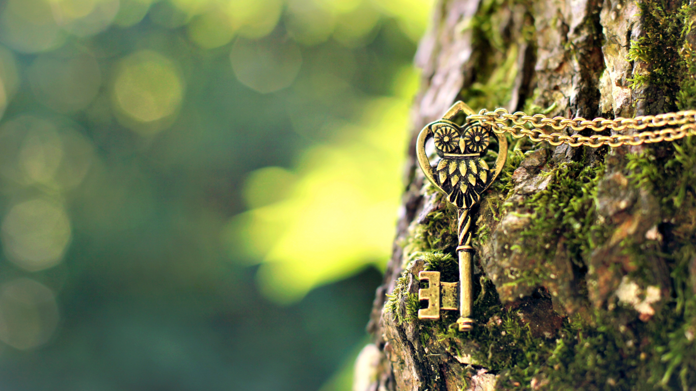 цепочка, металлический, сова, ключ, подвеска, дерево