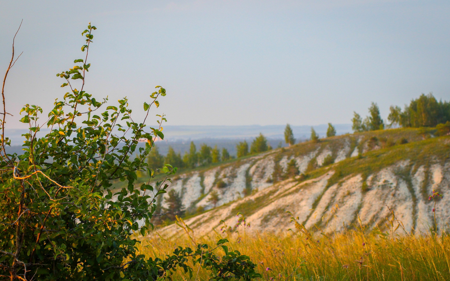 природа, за городом