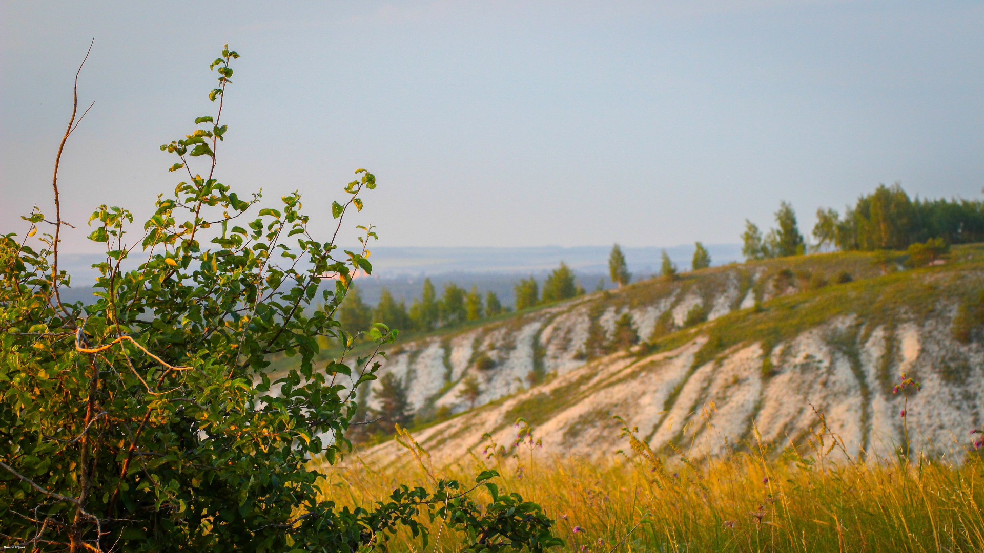 природа, за городом