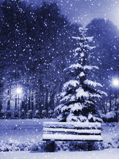 town, snow, trees, new year, winter, nature, christmas tree, magic christmas night, merry christmas