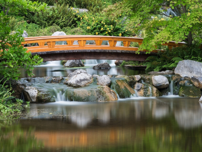 вена, japanese garden, vienna, австрия, setagaya park, японский сад, austria