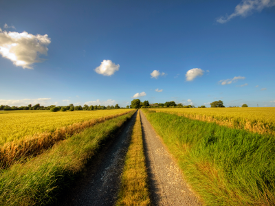 небо, дорога, даль, солнечный день, путь, облака, road