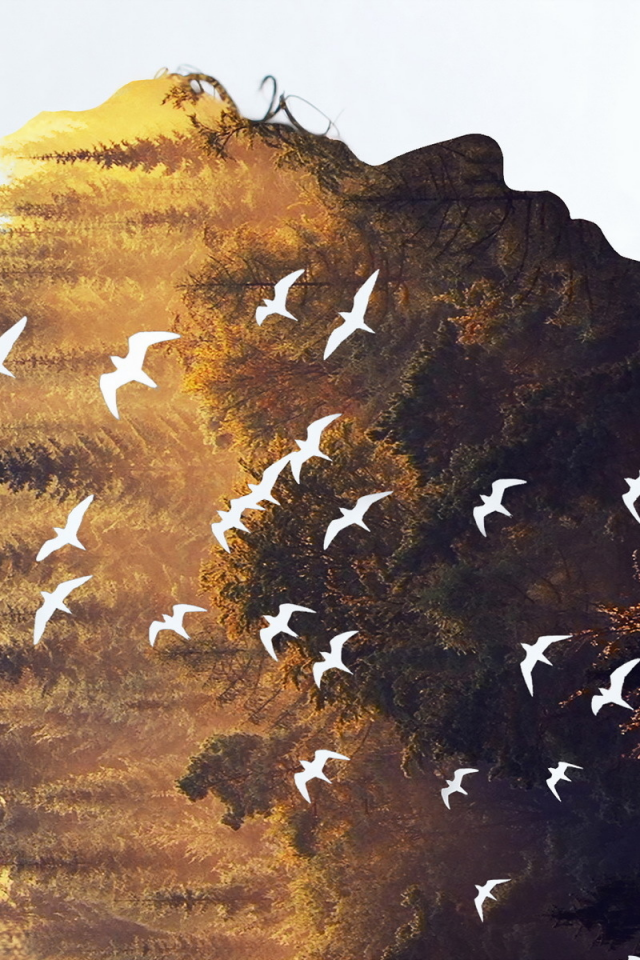 birds, wood, forest, gold, symbiosis, flock, tree, silhouette