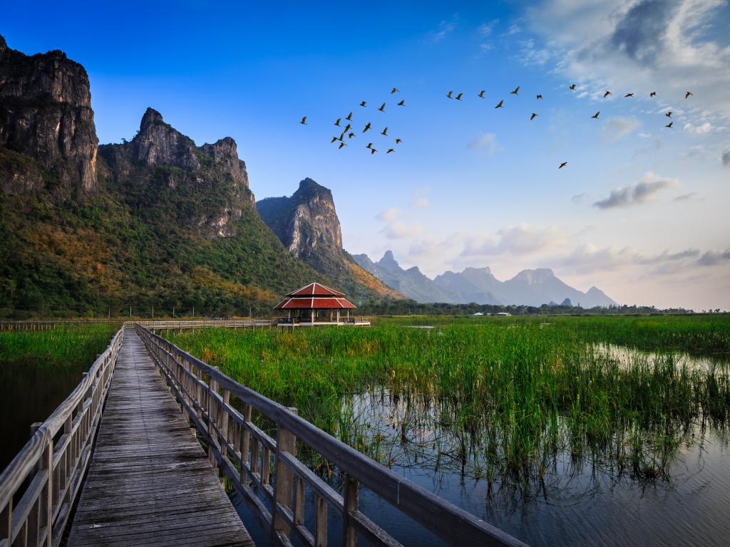 трава, вода, хижина, озеро, national park, мост, thailand