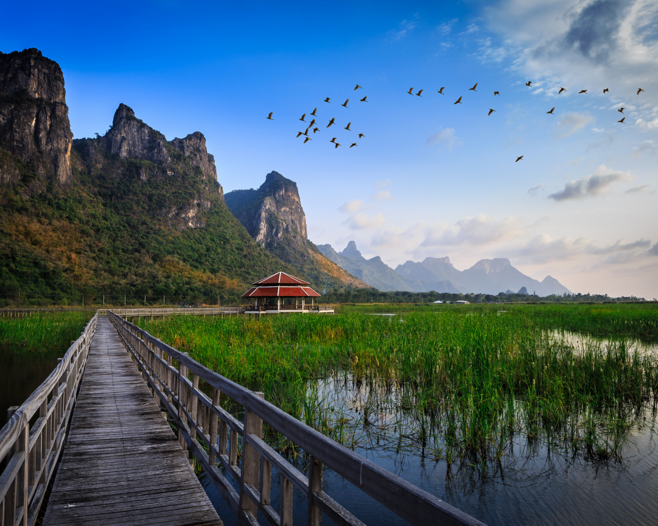 трава, вода, хижина, озеро, national park, мост, thailand