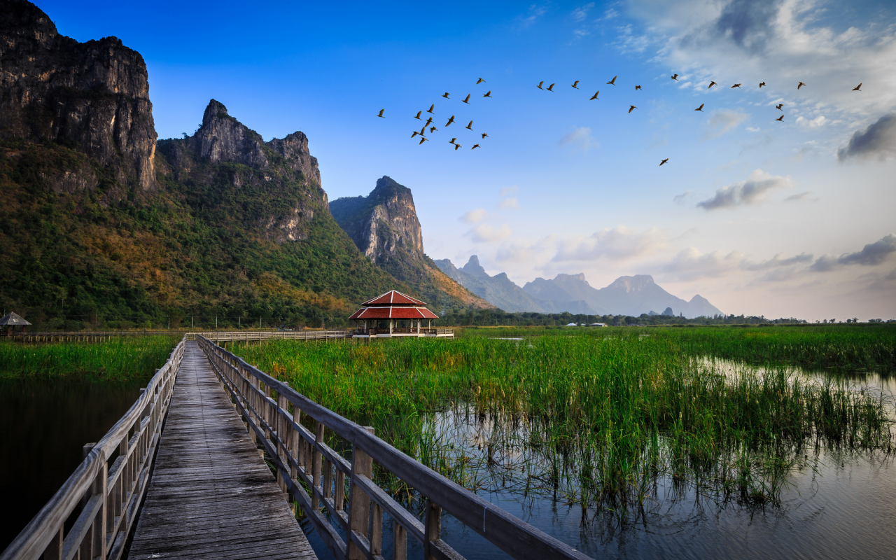 трава, вода, хижина, озеро, national park, мост, thailand