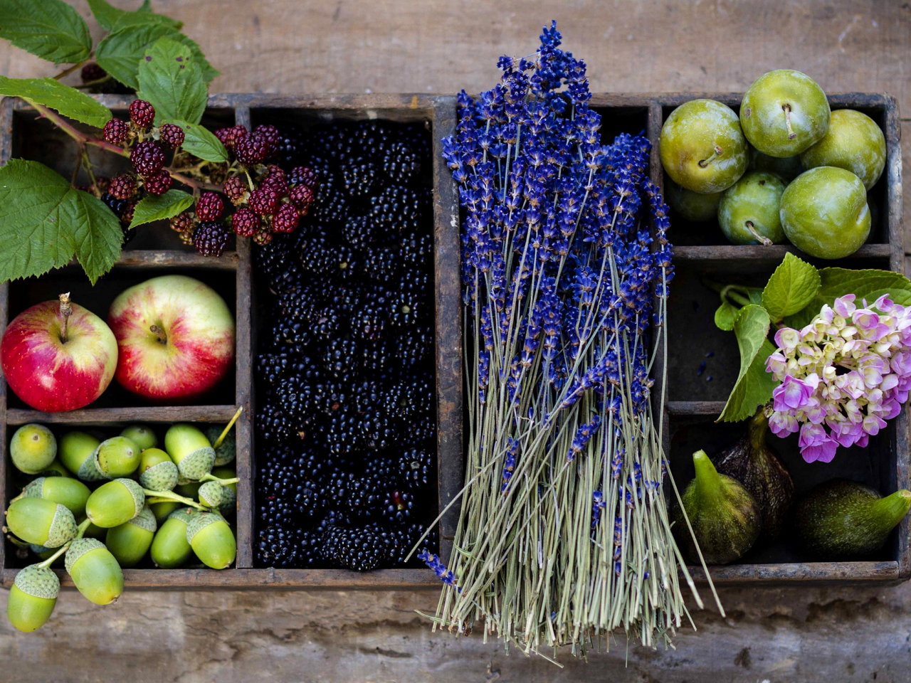 фрукты, сливы, лаванда, яблоки, ежевика, ягоды, цветы