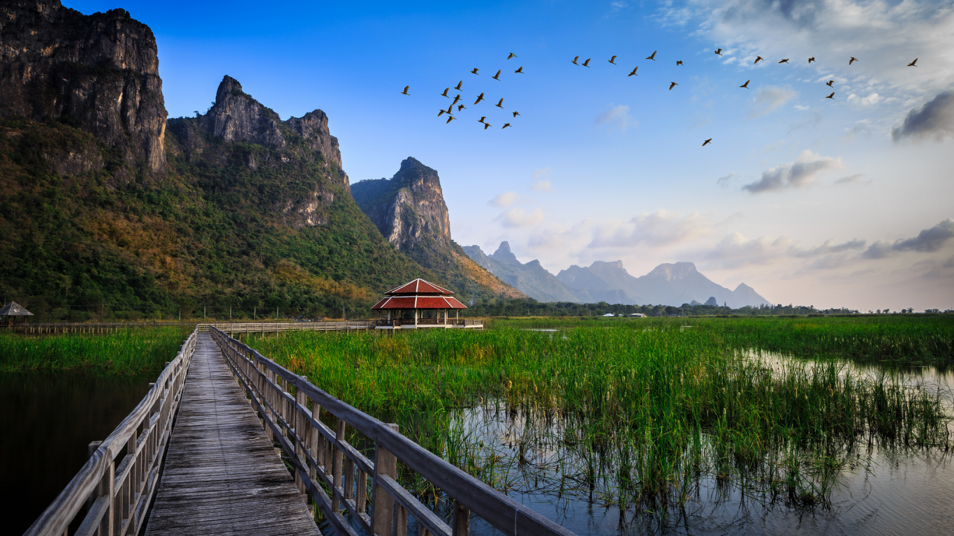 трава, вода, хижина, озеро, national park, мост, thailand