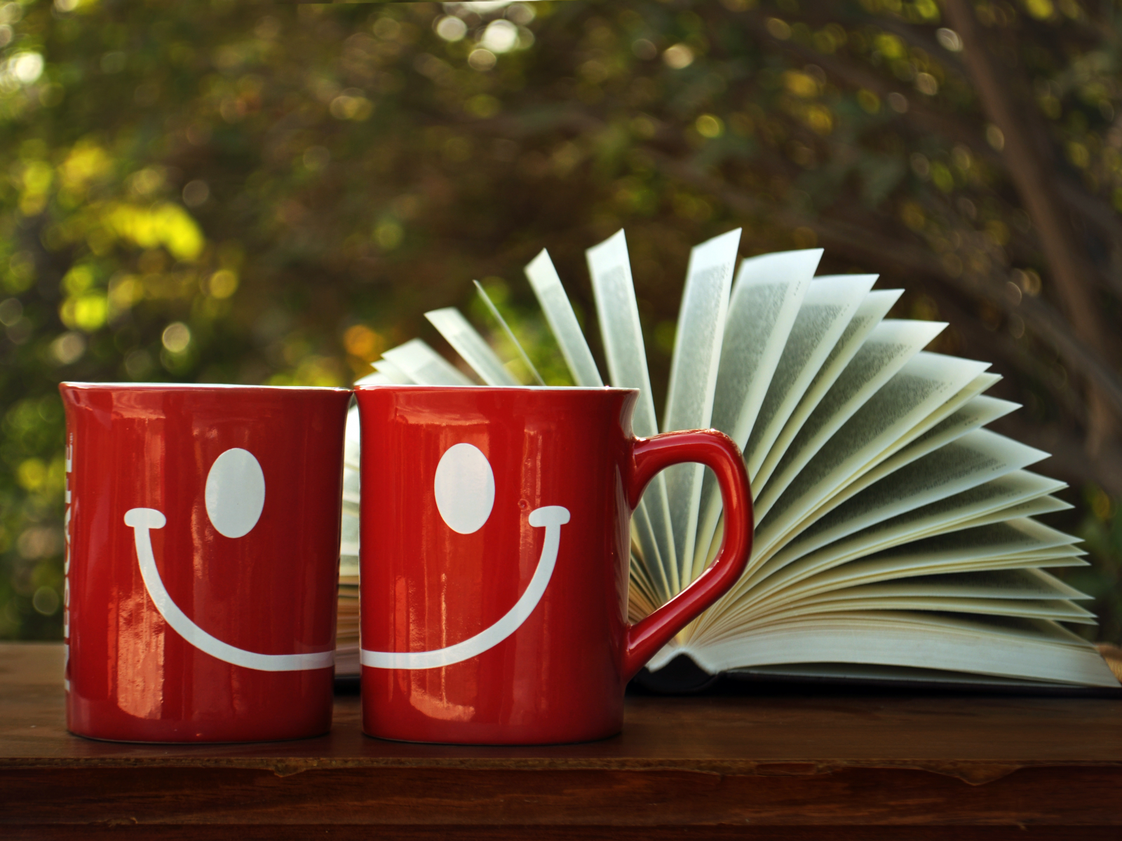 улыбка, книга, страницы, чашки, рисунок, красные