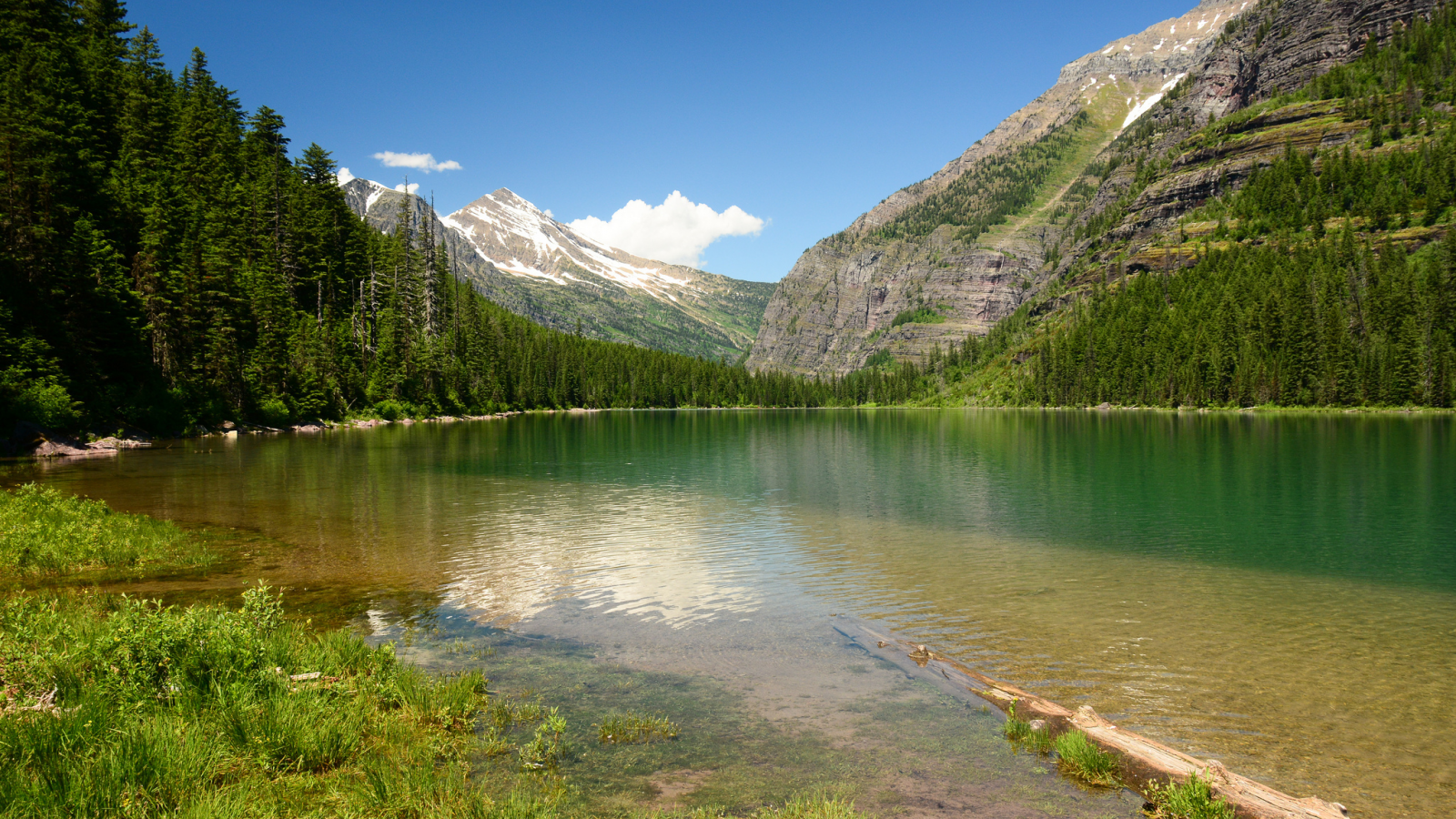 монтана, озеро, avalanche lake, montana, glacier national park, глейшер