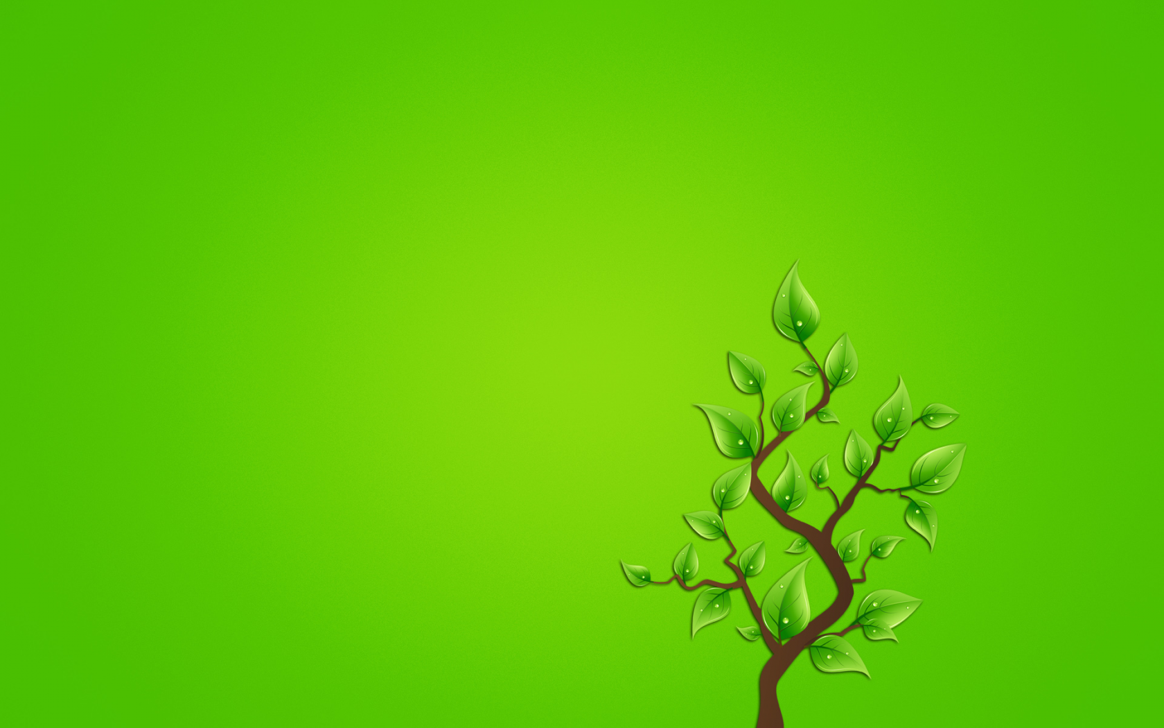 дерево, зеленоватый фон, минимализм, листья, ветка