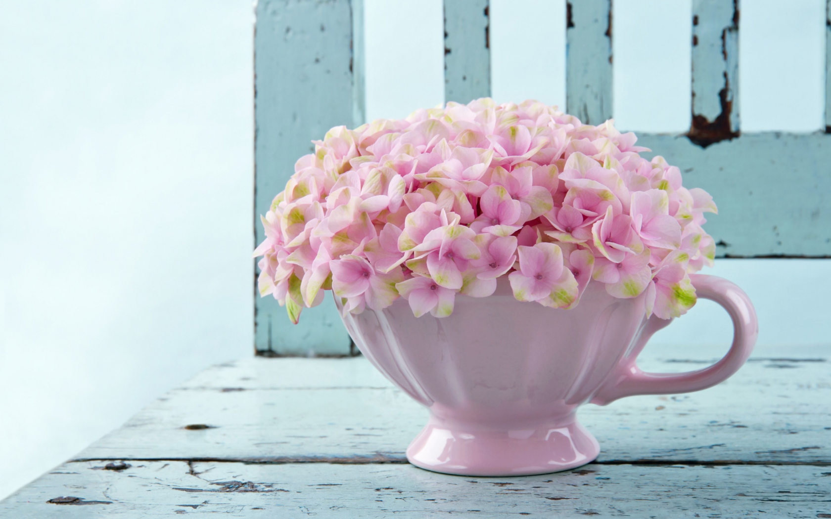 вазочка, розовый, flowers, обои, цветочки, фон, цветы