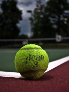 tennis, court, ball