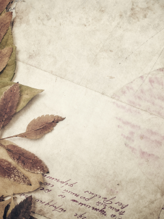 строки, vintage, бумага, сухие листья, винтаж