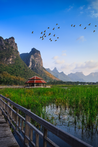 трава, вода, хижина, озеро, national park, мост, thailand