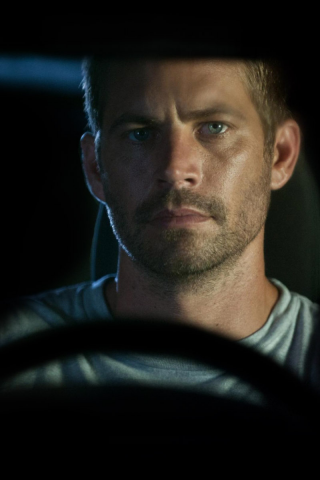 мужчина, форсаж, актёр, взгляд, пол уокер, paul walker