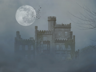  мрак, замок, птицы, туман, луна, деревья