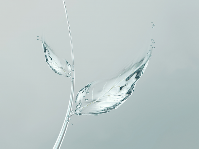 вода, water , минимализм, leaf , лист, пузырьки, bubbles, minimalism