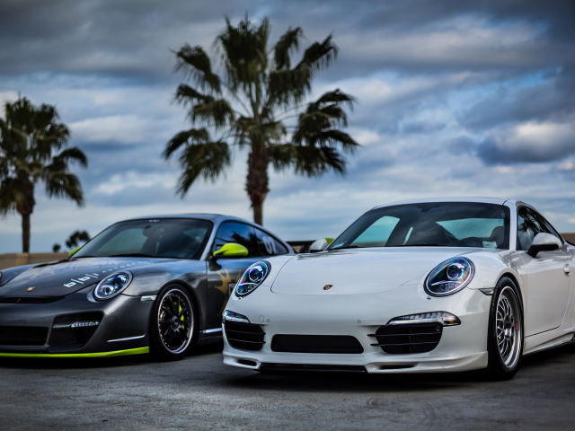 silver, front, white, sky, 911, небо, порше, серебро, palm, porsche, белый