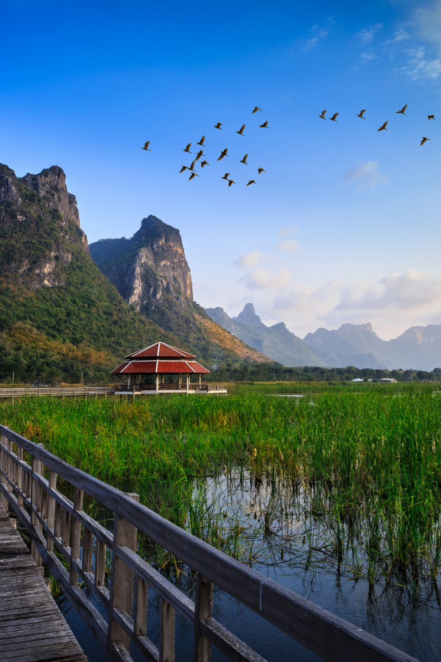 трава, вода, хижина, озеро, national park, мост, thailand