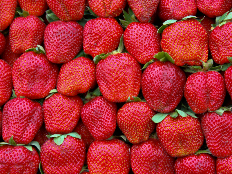 strawberries, pattern, green, red