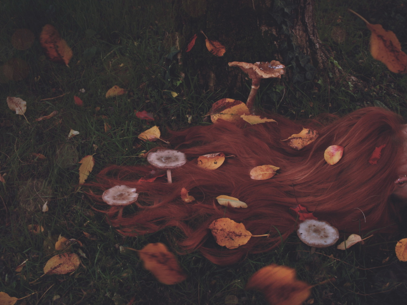 рыжие, грибы, волосы, листья