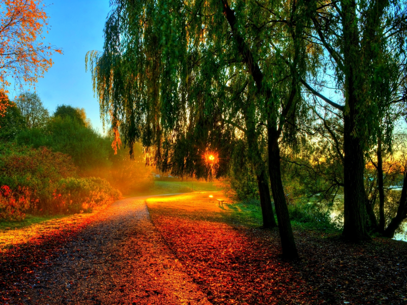 hdr, walk, sun, sunset, nature, bench, autumn, water, trees, river, forest, rays, leaves