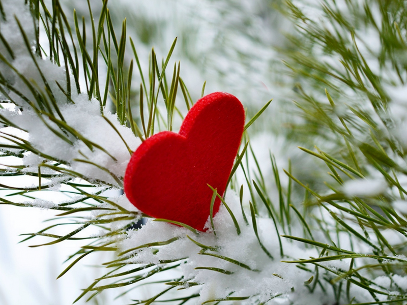 heart, дерево, зима, snow, i love you, сердце, любовь, снег, love, winter