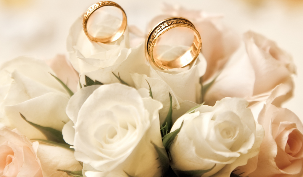 обручальные кольца, бутоны, розы, белые