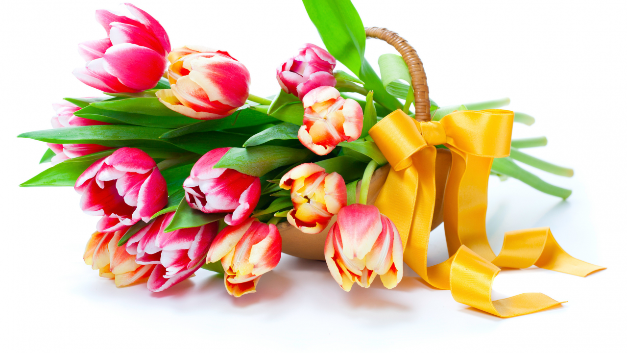 тюльпаны, цветы, весна, лепестки