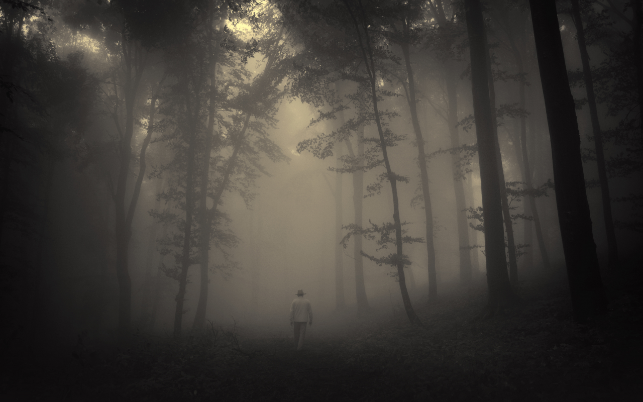 sadness, lonely old man, road, trees, creepy, nature, лес, misty, landscape, forest