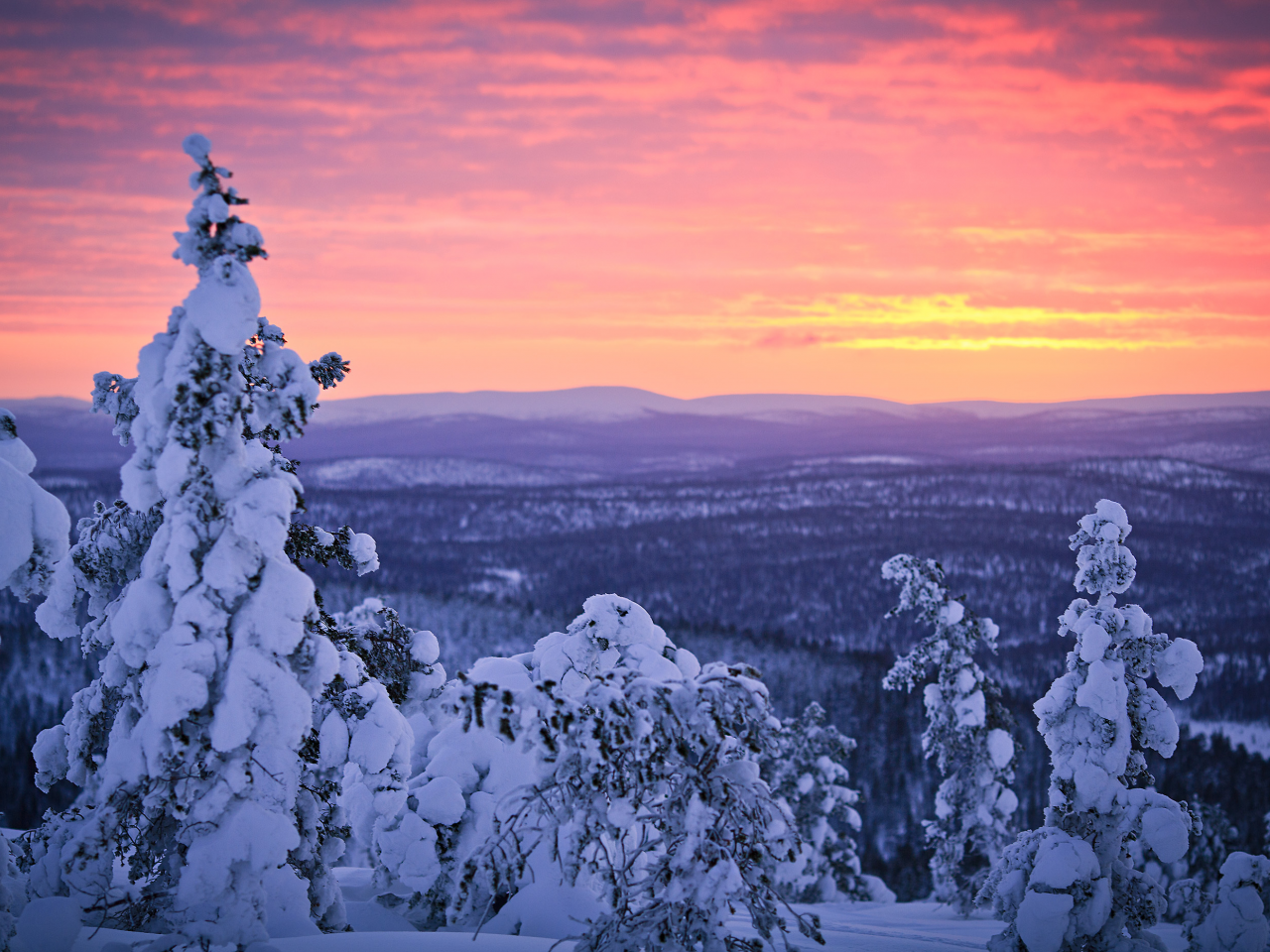 финляндия, снег, закат, январь, лес, лапландия, зима