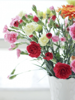 ваза, разные, цветы, гвоздики