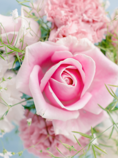 розовая роза, flowers, цветы, pink rose, beautiful , красивая