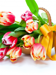 тюльпаны, цветы, весна, лепестки
