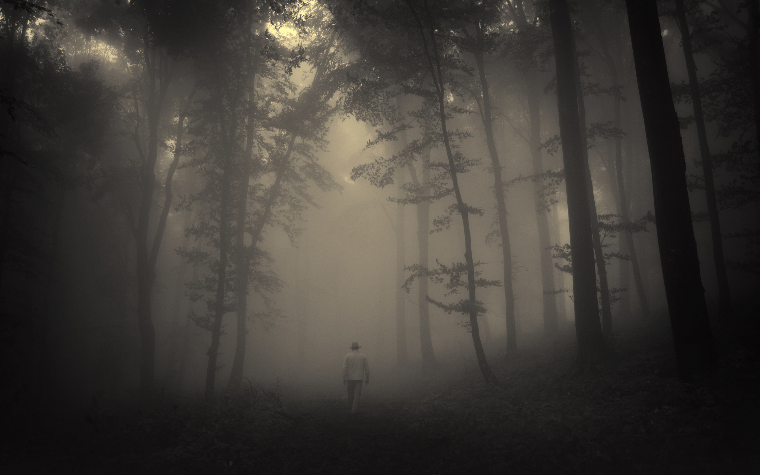 sadness, lonely old man, road, trees, creepy, nature, лес, misty, landscape, forest