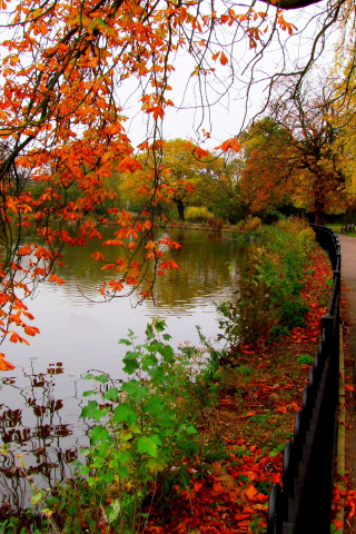 river, trees, view, bench, autumn, walk, sky, alley, water, hdr, leaves, fall, park, nature, forest