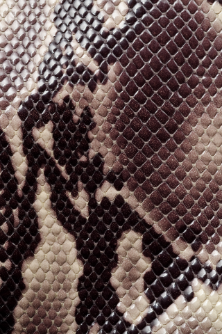 раскраска, текстура, кожа змеи, animal texture