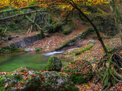 река, листья, вода, мох, озеро, деревья, осень, камни