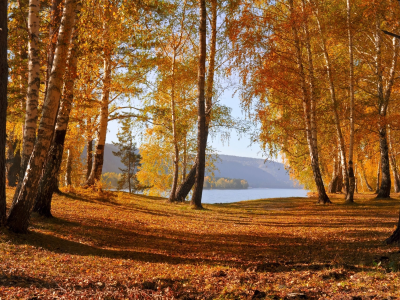 озеро, осень, листья, горы, деревья, природа